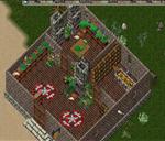 Pic of the day for Wednesday, November 17, 2010: Vegetation!