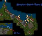 Pic of the day for Thursday, December 9, 2010: Dungeon Guards Guild Town Map