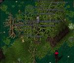 Pic of the day for Wednesday, June 8, 2011: Busy Day at the Bog