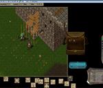 Pic of the day for Tuesday, December 21, 2010: We bring trybute!