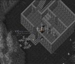 Pic of the day for Wednesday, December 15, 2010: The night of friendly competition started out with a good old-fashioned ritual group suicide. 