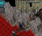 Pic of the day for Sunday, March 7, 2010: crossin that bridge