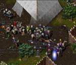 Pic of the day for Saturday, March 6, 2010: brigands! brigands! more brigands!