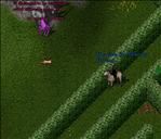 Pic of the day for Friday, January 7, 2011: The purple llama of Power.