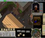 Pic of the day for Monday, June 13, 2011: Running wild through the streets of brit