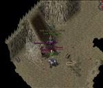 Pic of the day for Tuesday, January 18, 2011: Don't slip on the Banana!