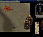 Pic of the day for Monday, May 23, 2011: After committing a criminal act the looter ran as fast as they could in a attempt to hide. 