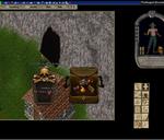 Pic of the day for Sunday, May 22, 2011: Didn't make it very far..