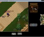 Pic of the day for Saturday, May 7, 2011: What scoundrel would steal a woman's undergarments!?