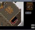 By Anonymous, Submitted: Wednesday, February 9, 2011: roof of my tower