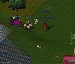 Pic of the day for Sunday, June 26, 2011: Jaded Wolf dies to a dire wolf while Mr Waffles tries to heal him.