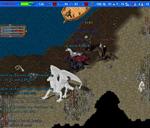 Pic of the day for Sunday, July 24, 2011: Jaded engages in his favourite evening activity of dirt napping.