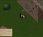 Pic of the day for Wednesday, August 3, 2011: Safir gets the first official cA HUG!