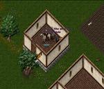 Pic of the day for Sunday, September 4, 2011: a rare horse with a majestic tuft of chest hair!  good gracious! 