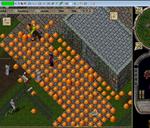 ilubGLD.jpg Thumbnail