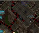 Pic of the day for Sunday, November 13, 2011: Charley and nightshark duel for Tower Deeds at Sinister's place... shark wins in a best of 5. 