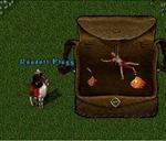 Pic of the day for Sunday, January 8, 2012: This guy is awesome