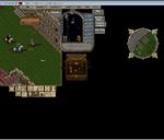 Pic of the day for Thursday, April 12, 2012: Don't run from me Fool.