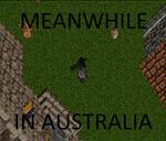 Pic of the day for Monday, June 4, 2012: Meanwhile.. In Australia