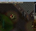 Pic of the day for Thursday, June 14, 2012: romantic night 