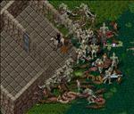 Pic of the day for Tuesday, July 10, 2012: I believe it's time to move! All my neighbors came along when I started my fireworks tonight!