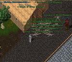 Pic of the day for Monday, July 30, 2012: Down with the King!