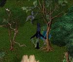 Pic of the day for Tuesday, August 14, 2012: Looks like this one got lost.