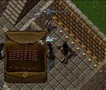 By Anonymous, Submitted: Saturday, December 8, 2012: Wall of Fun