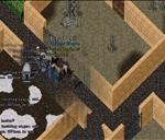 Pic of the day for Saturday, January 19, 2013: Our first jam session seems to be going great. . . 