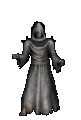 BS Guildmaster