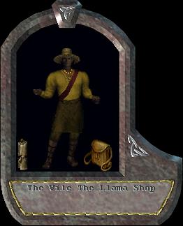 The Llama Shop