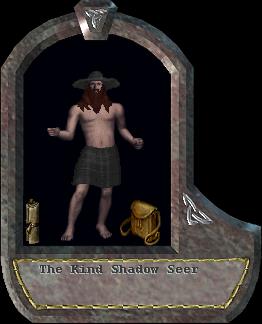 Shadow Seer