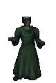Dren