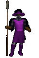 a pig