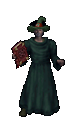 dvsmasta