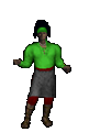 MrCook