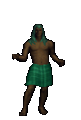 Bushman