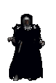 Shadow Ninja