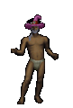 Simon