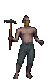 Hipopotamus