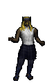 Sicarius
