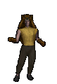 Dwight Schrute