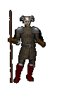 Gnarfug
