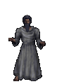 The Town Fool