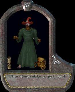 a pet rock
