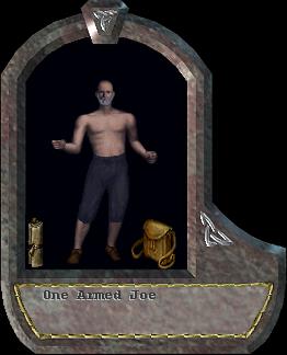 One Armed Joe
