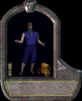 Brimmirr