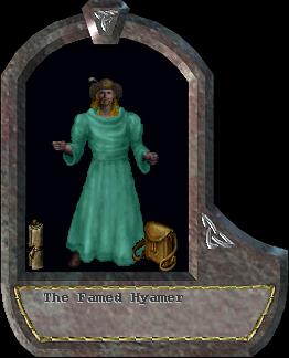Hyamer