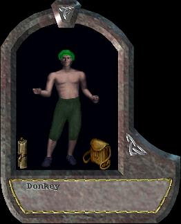 Donkey