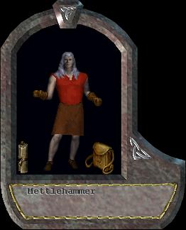 Mettlehammer